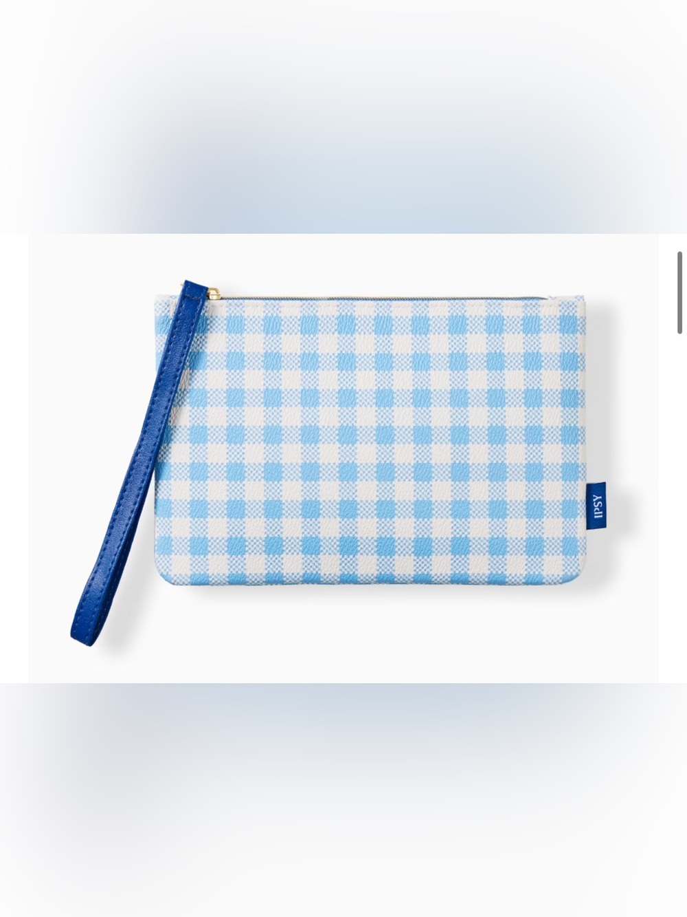 💙 4/$20 Ipsy Blue White Checked Cosmetics Bag